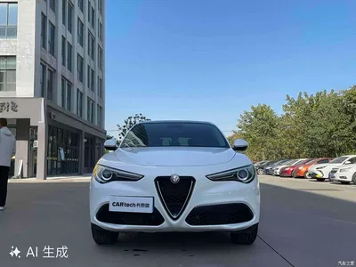 2017 Alfa Romeo Stelvio 2.0T 200HP Elite, фото 2, лот 10239833