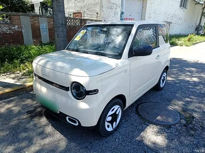 2025 Geely Galaxy Panda mini 210km Vitality Bear, фото 1, лот 10433340