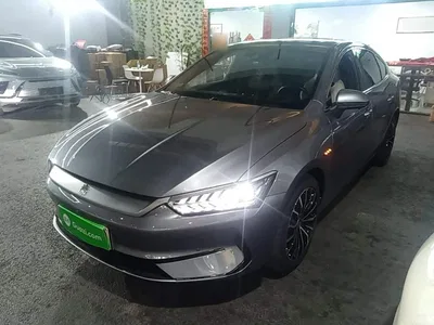 2023 BYD Qin PLUS Champion Edition EV 610KM Excellence, фото 2, лот 10390375