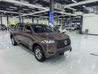 2021 Great Wall Pao 2.0T Commercial Edition Manual Diesel 4WD Elite Long Box GW4D20M, фото 3, лот 10246107