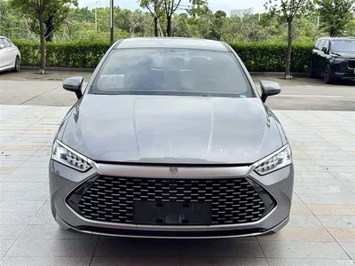 2023 BYD Qin PLUS Champion Edition DM-i 55KM Leading, фото 2, лот 11006682