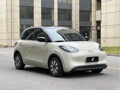 2024 Wuling Motors Wuling Bingo 333km Comfort Edition, фото 3, лот 10367311