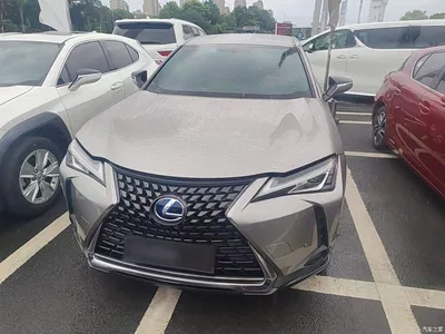 2020 Lexus UX 260h Explore Cool Edition, фото 3, лот 10319267