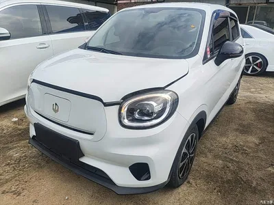 2023 Leapmotor T03 200 Light Edition, фото 2, лот 10476923