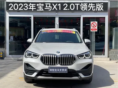 2022 BMW X1 sDrive25Li Leading, фото 3, лот 10466768