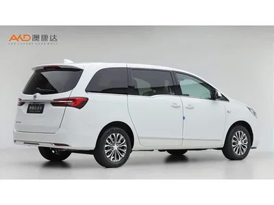 2021 Buick GL8 Land Business Class 652T Luxury, фото 3, лот 10275581
