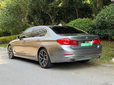 2020 BMW 5 Series New Energy 530Le Range Upgrade Luxury Package, фото 4, лот 10599686