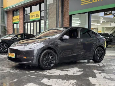 2024 Tesla Model Y Rear-Wheel Drive Version, фото 4, лот 10625723