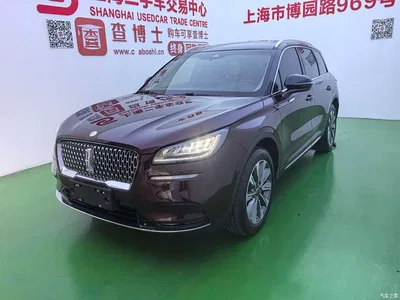 2023 Lincoln Adventurer 2.0T 2WD Zunxiang Edition, фото 1, лот 10357617