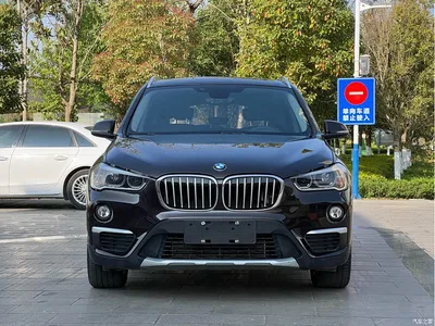 2018 BMW X1 xDrive20Li Premium Model, фото 3, лот 10465105