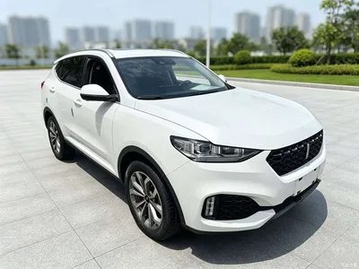 2018 WEY VV6 2.0T 2WD Super Luxury China V, фото 3, лот 10451914