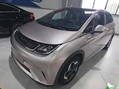 2021 BYD Dolphin Model 405km Fashion Edition, фото 1, лот 11194338