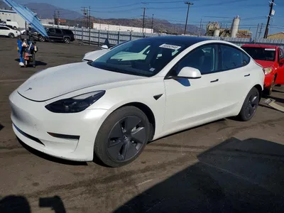 2023 TESLA MODEL 3, фото 1, лот 10969280