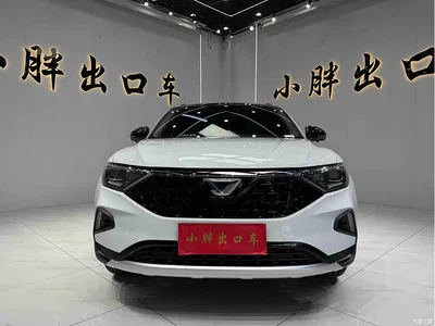 2021 Jetta VS7 Panda Edition 1.4T Auto Deluxe, фото 2, лот 10424880
