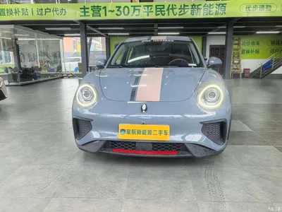2022 Ora Good Cat GT Mulan Edition 480km Long Range, фото 2, лот 11104217