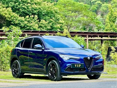 2019 Alfa Romeo Stelvio 2.0T 280HP Luxury, фото 3, лот 10817104