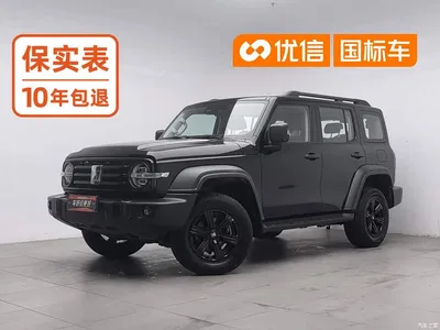 2021 Tank 300 Off-road Edition 2.0T Challenger, фото 1, лот 10344514