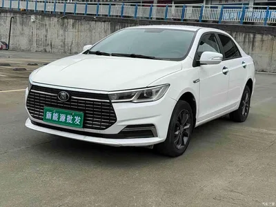 2019 BYD Qin New Energy Travel Standard Edition, фото 1, лот 10273428