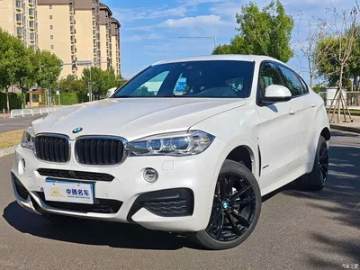 2019 BMW X6 xDrive35i M Sport Package, фото 1, лот 10469087