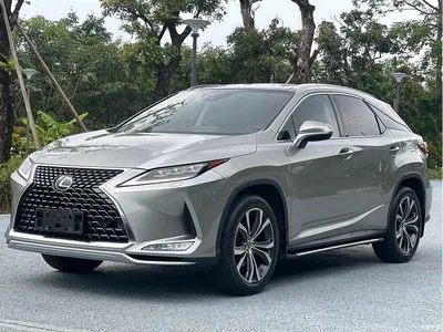 2020 Lexus RX Facelift 300 AWD Elegance Edition, фото 1, лот 10314478