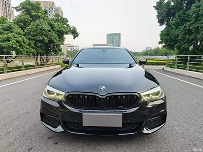 2018 BMW 5 Series Facelift 530Li Leading M Sport Package, фото 2, лот 11519375