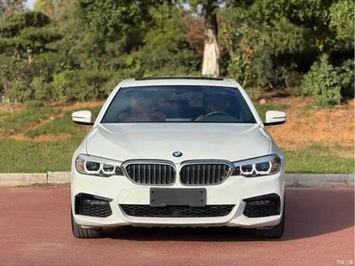 2019 BMW 5 Series (Import), фото 2, лот 11187629