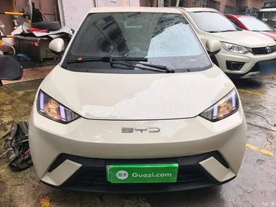 2024 BYD Seagull Glory Edition 305km Vitality Edition, фото 3, лот 11137849