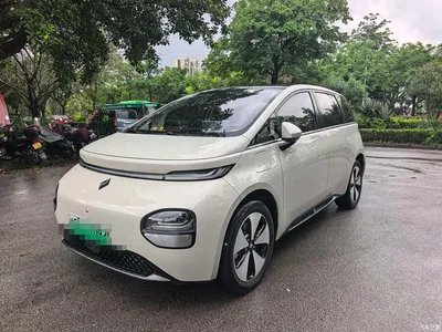2023 Baojun Cloud 460 Max, фото 1, лот 11163736