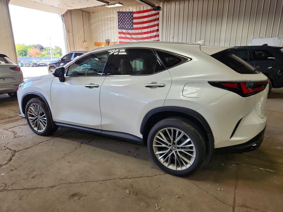 2025 LEXUS NX 350 LUXURY, фото 2, лот 11186725