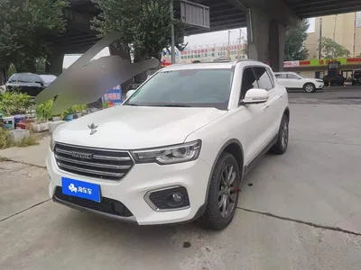 2019 Haval H7 2.0T ZhiXiang (China VI), фото 1, лот 11202467
