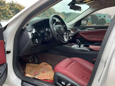 2018 BMW 5 Series 528Li Launch Special Edition, фото 4, лот 11503216