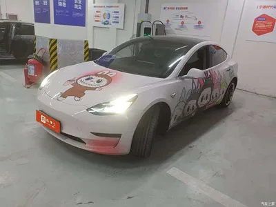 2019 Tesla Model 3 Standard Range Rear-Wheel Drive Upgrade, фото 1, лот 11580396