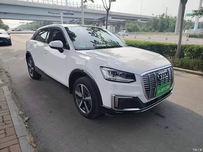 2019 Audi Q2L e-tron Pure Electric Smart Cool Edition, фото 4, лот 10473301