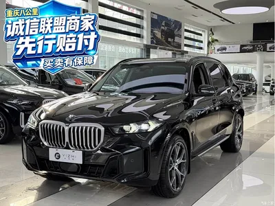 2023 BMW X5 xDrive 30Li Premium M Sport Black Night Package, фото 1, лот 11583825