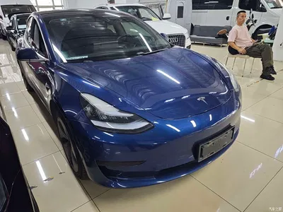2020 Tesla Model 3 Standard Range Rear-Wheel Drive Upgrade, фото 2, лот 10368762
