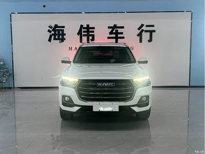 2023 Haval H6 National Trend Edition 1.5T Automatic Champion, фото 2, лот 10282199