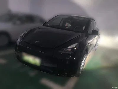 2022 Tesla Model Y Rear-Wheel Drive Version, фото 1, лот 10376692
