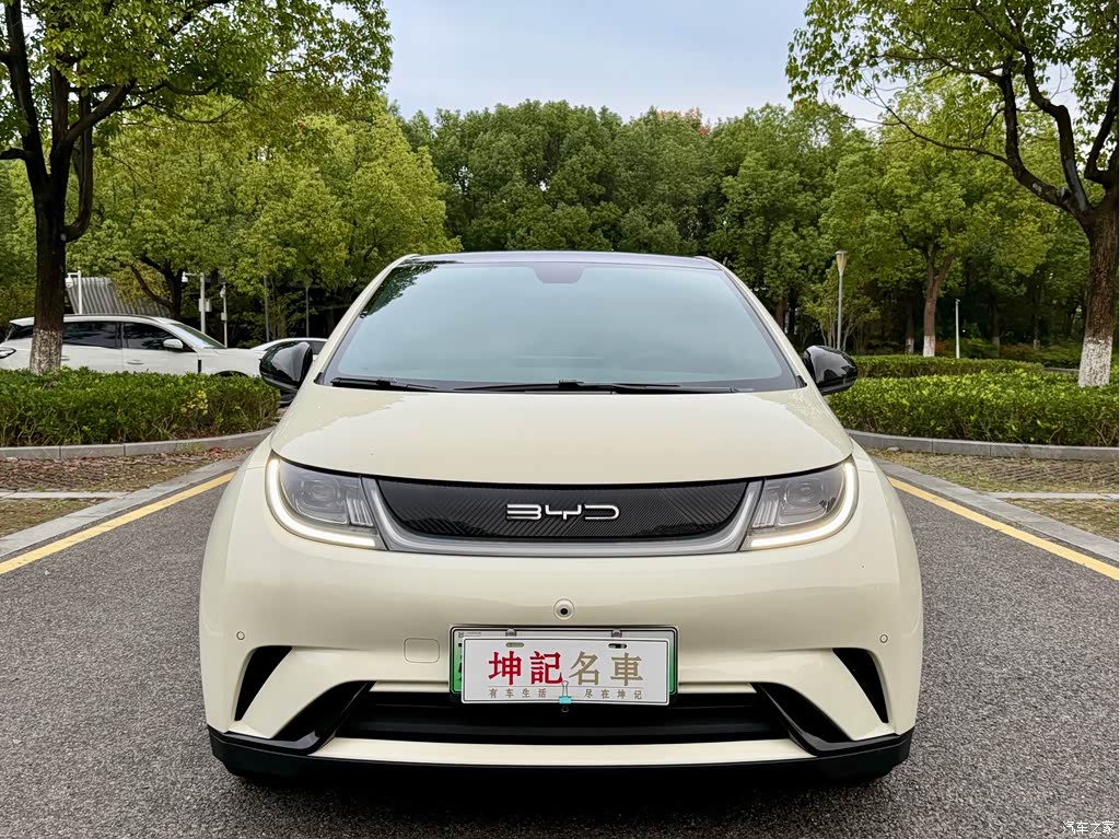 2023 BYD Dolphin 420km Fashion Edition, фото 2, лот 11212122