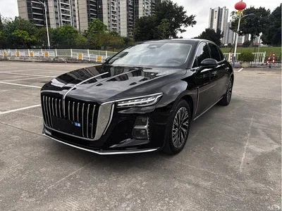 2025 Hongqi H5 1.5T DCT Flag Rhythm 500,000 Units Memorial Edition, фото 1, лот 10288006