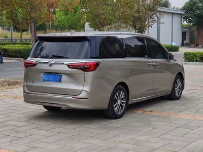 2023 Buick GL8 ES Landmaster Exclusive, фото 4, лот 10689083