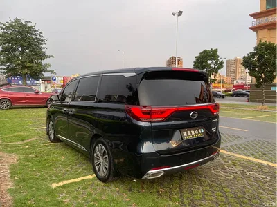 2018 GAC Trumpchi Trumpchi M8 320T Flagship Edition, фото 4, лот 10417452