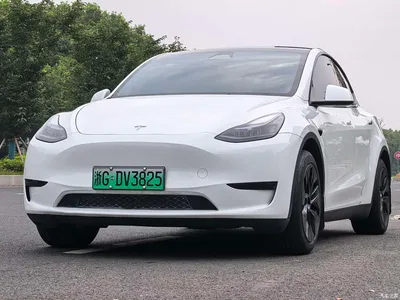 2024 Tesla Model Y Rear-Wheel Drive Version, фото 1, лот 10816378