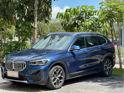2020 BMW X1 sDrive25Li Leading Model, фото 1, лот 10465100