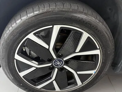 2025 BYD Song L DM-i Smart Drive 160km Premium, фото 4, лот 10391407