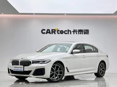 2021 BMW 5 Series 530Li Premium M Sport Package, фото 1, лот 11196744