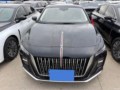 2025 Hongqi H5 1.5T DCT Flag Rhythm 500,000 Units Memorial Edition, фото 2, лот 10415788