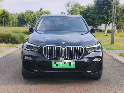 2021 BMW X5 New Energy(Imported) xDrive45e M Sport Package, фото 2, лот 10476793
