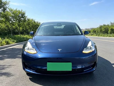 2022 Tesla Model 3 Model Rear-Wheel Drive Version, фото 3, лот 10366795