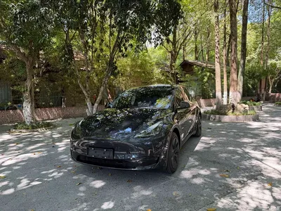 2024 Tesla Model Y Rear-Wheel Drive Version, фото 1, лот 10453253