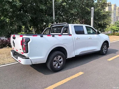 2023 Great Wall Pao 2.0T Commercial Auto Diesel 4WD Elite Long Box GW4D20M, фото 4, лот 10364238